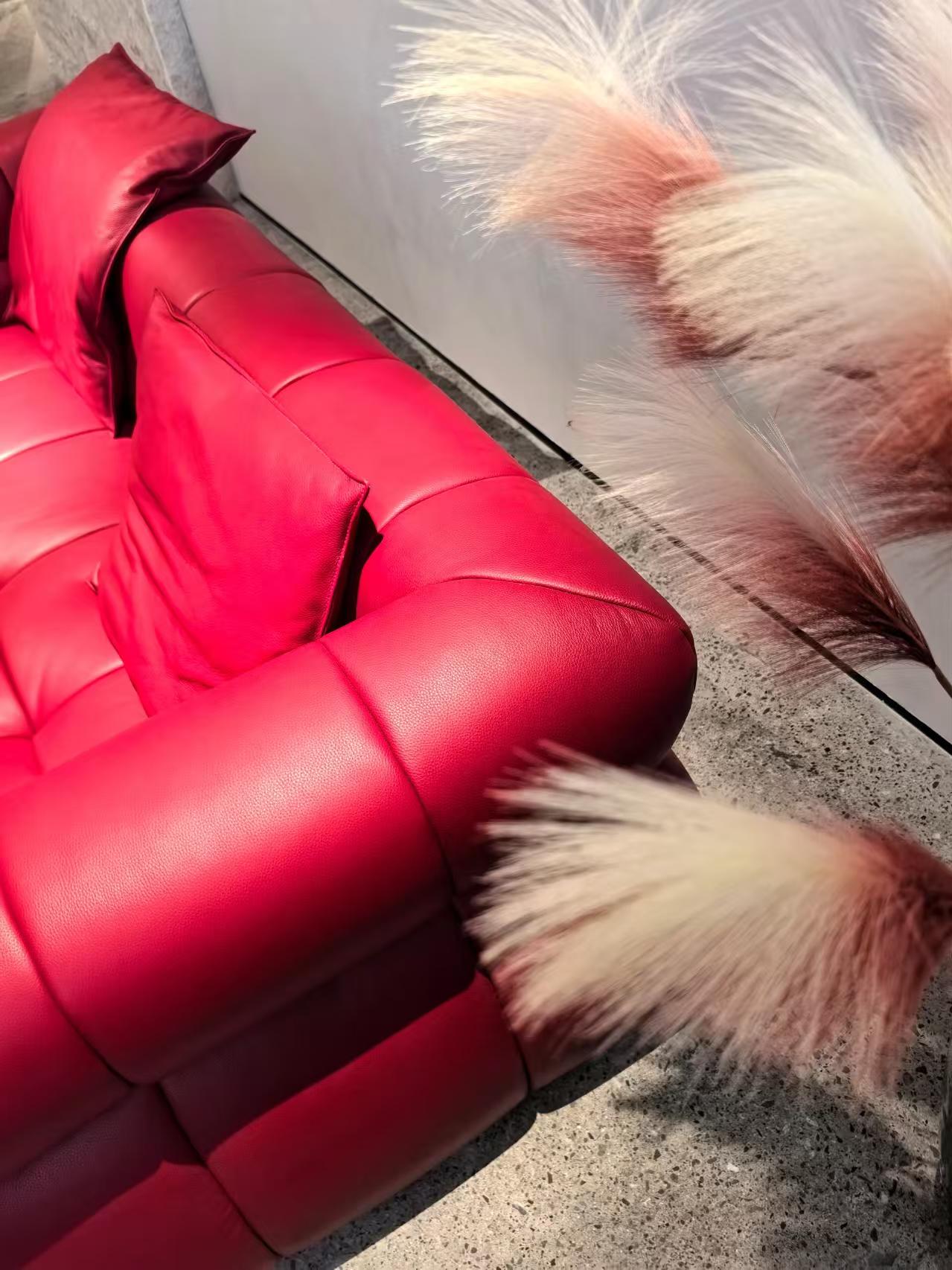 ​Rose Red Channel-Tufted Sofa with Metal Accent Back Gap